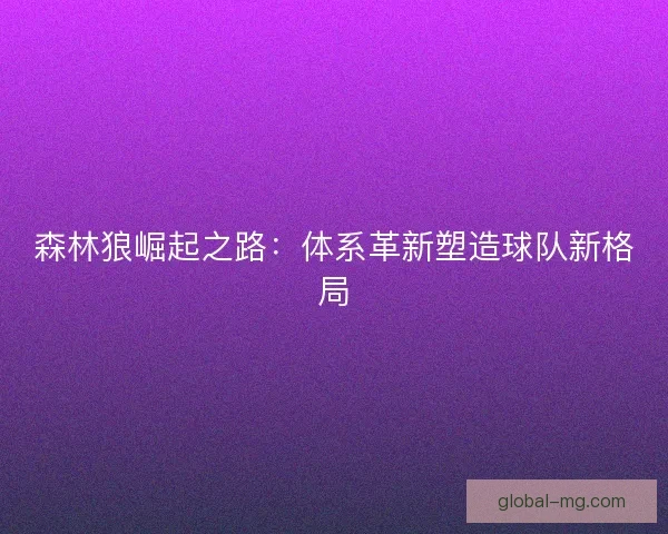 森林狼崛起之路:体系革新塑造球队新格局 森林狼崛起之路:体系革新塑造球队新格局