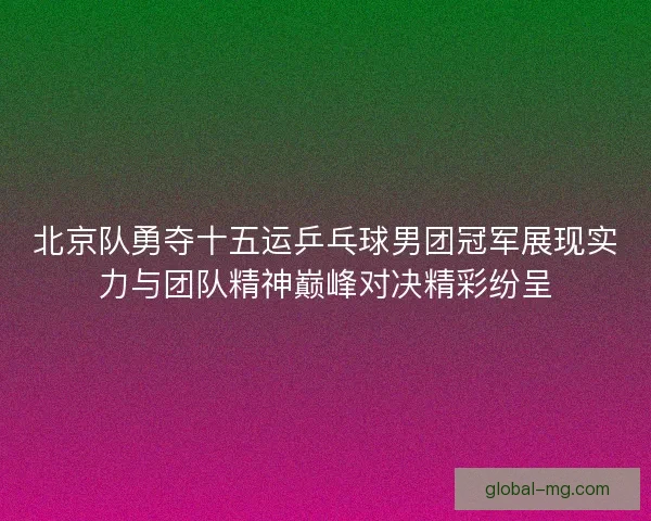 北京队勇夺十五运乒乓球男团冠军展现实力与团队精神巅峰对决精彩纷呈